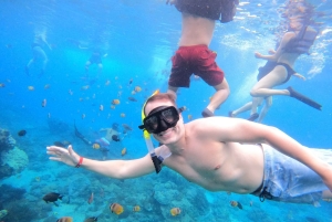 Nusa Penida : excursion de snorkeling avec raies manta et tortues