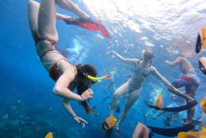 Nusa Penida : excursion de snorkeling avec raies manta et tortues