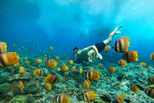 Bali:Nusa Penida Snorkelling To Manta Bay,Crystalbay & Gamat
