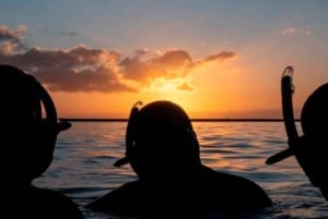 Nusa Penida: Manta i solnedgangen og snorkling i Crystal Bay med middag