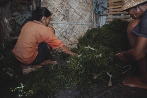 Nusa Penida: Sustainable Seaweed Farming & East Tour
