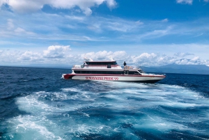 Nusa Penida: Gili Trawangan, Gili Air, Lombok mit dem Schnellboot