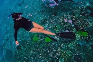 Nusa Penida Tour & Private Afternoon Snorkeling (Skip Crowd)