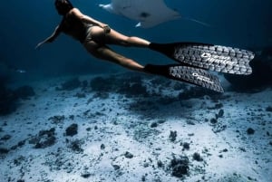 Nusa Penida Tour & Private Afternoon Snorkeling (Skip Crowd)