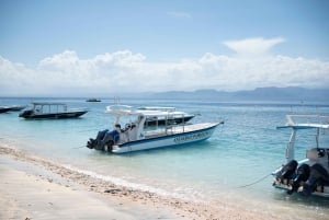 Nusa Penida Tour & Private Afternoon Snorkeling (Skip Crowd)