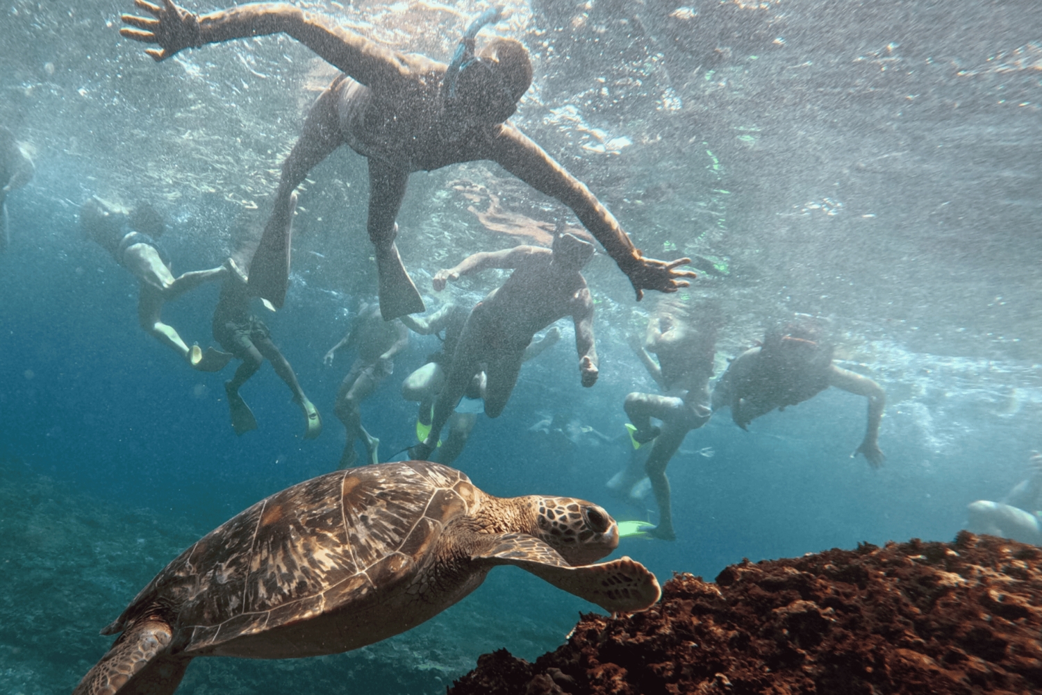 Nusa Penida Tour : Trip from Bali - Optional Bali Transfer