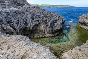 Nusa Penida Tour : Trip from Bali - Optional Bali Transfer