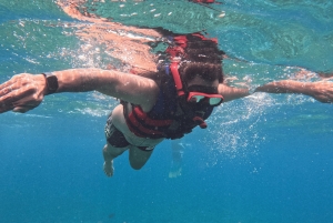 Nusa Penida Tour : Trip from Bali - Optional Bali Transfer