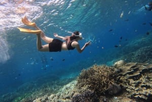 Nusa Penida: West Coast Adventure Package