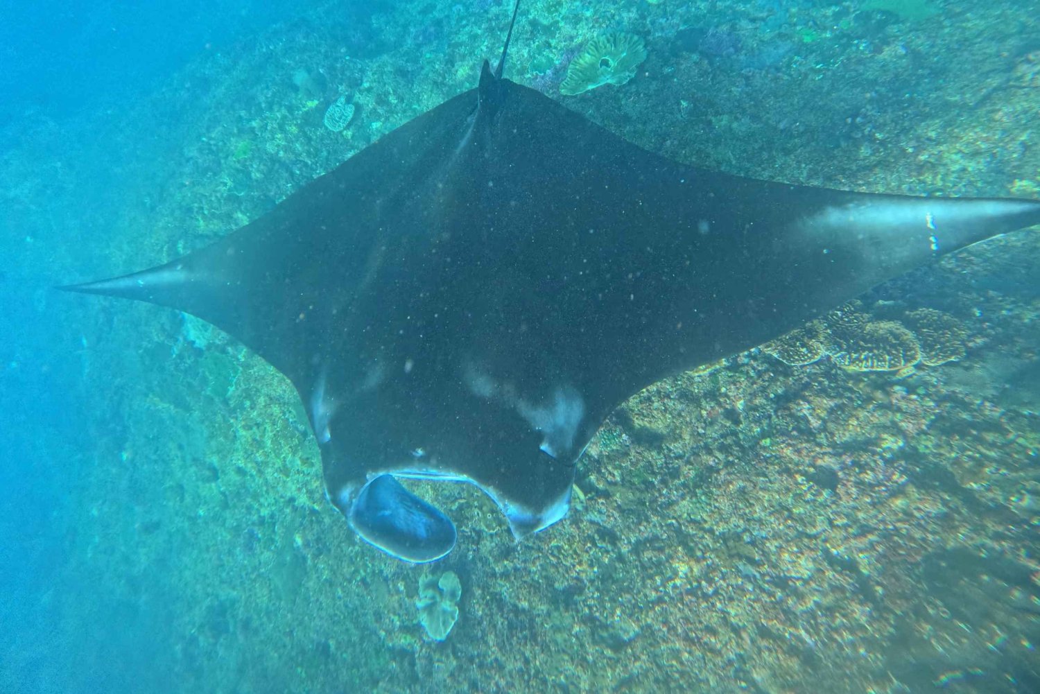 Nusa Penida:West Land Tour & Manta Bay Snorkeling with Lunch