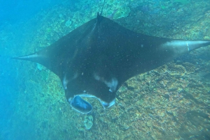 Nusa Penida:West Land Tour & Manta Bay Snorkeling with Lunch