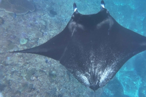 Nusa Penida:West Land Tour & Manta Bay Snorkeling with Lunch