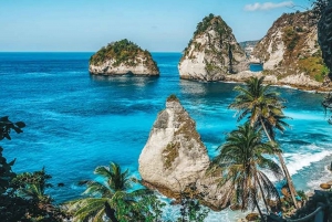 From Bali: Nusa Penida Private Full-Day Trip with Lunch