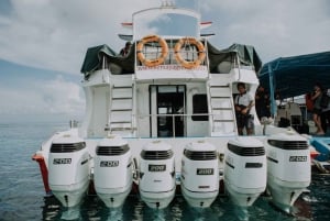 FASTFERRY: Nusa Penida- Sanur,- Padang Bai,- Kusamba- Gili