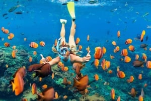 One Day Nusa Penida Snorkeling and Island Tour Combination