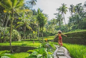 Cretya Ubud, Rice Terrace, Temple & Waterfall Day Tour