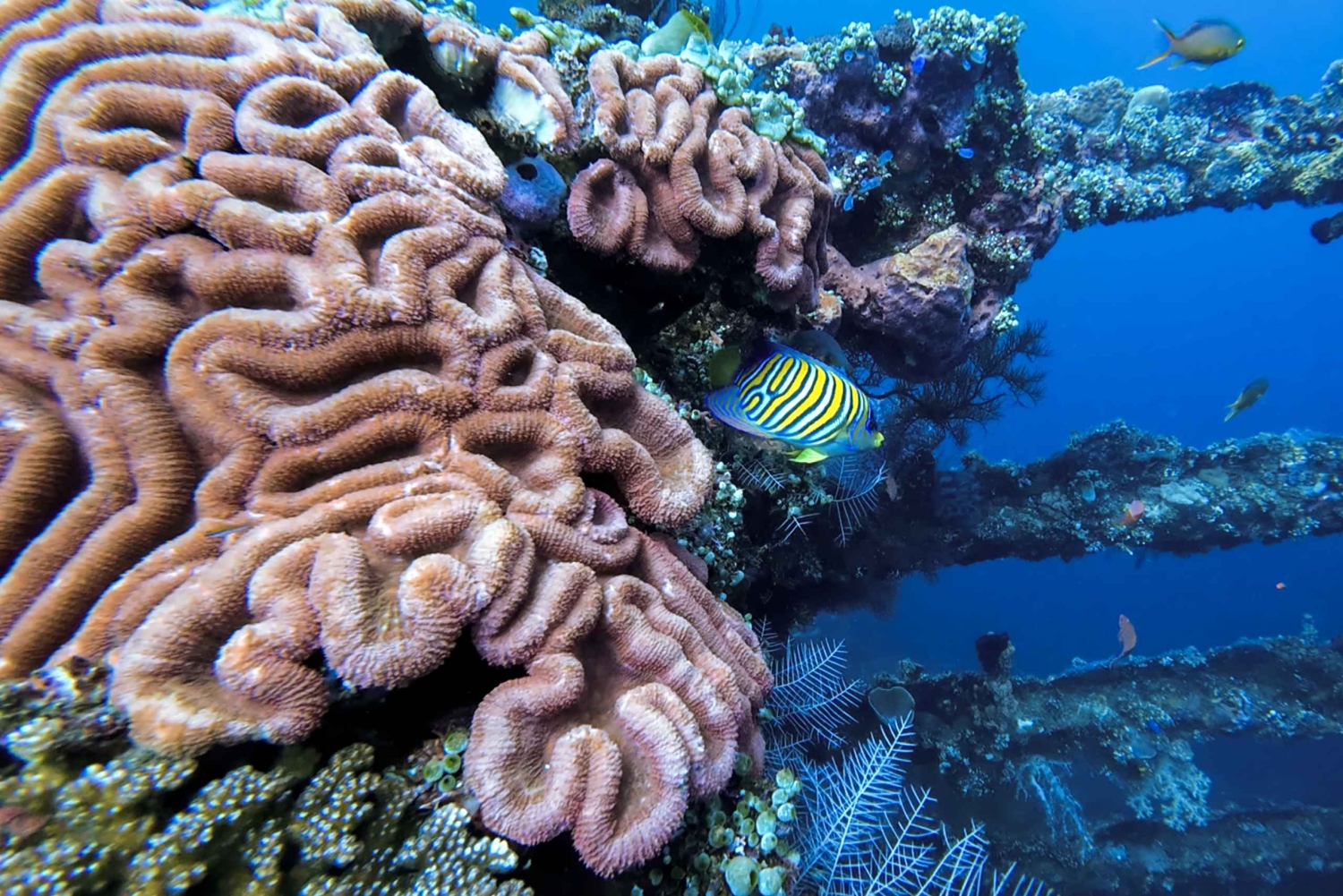 Kurs Open Water Diver przy wraku statku Liberty i przygoda z kajakiem na Bali