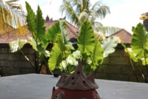 Окраина Убуда, Гианьяр: Уроки гончарного дела