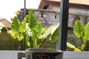 Окраина Убуда, Гианьяр: Уроки гончарного дела