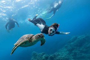 Padang Bai Snorkeling Trip with Lunch and Local Guide