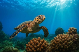 Padang Bai Snorkeling Trip with Lunch and Local Guide