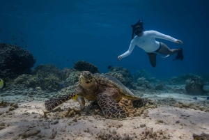 Padang Bai Snorkeling Trip with Lunch and Local Guide