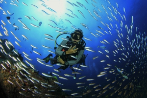 Padangbai Blue Lagoon Beginner's Dive Experience