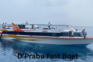 バリ：ギリ島行きの高速船チケット（往復）