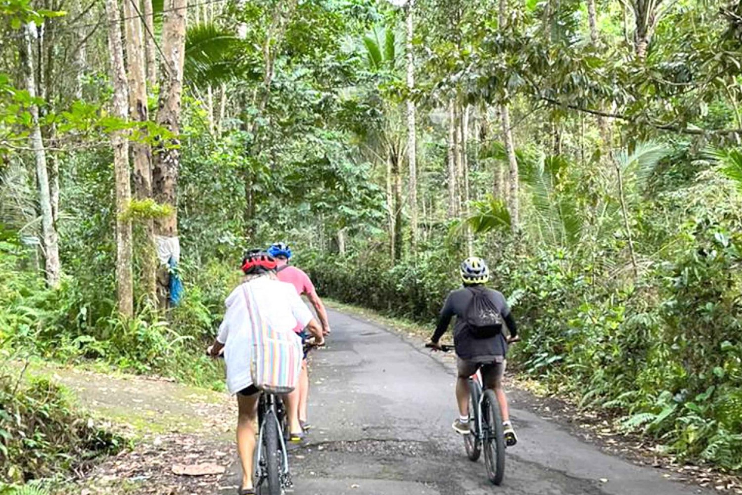 Tråkk gjennom paradiset: Bali Wanderlust Sidemen Cycling Tour