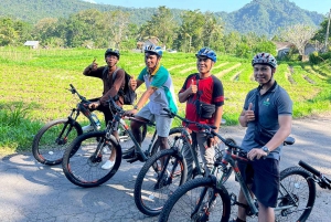 Pedal Through Paradise: Bali Wanderlust Sidemen Cycling Tour