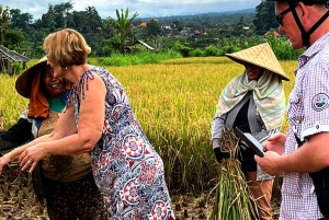 Pedal Through Paradise: Bali Wanderlust Sidemen Cycling Tour