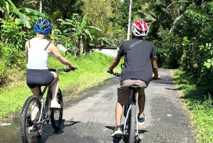 Pedal Through Paradise: Bali Wanderlust Sidemen Cycling Tour