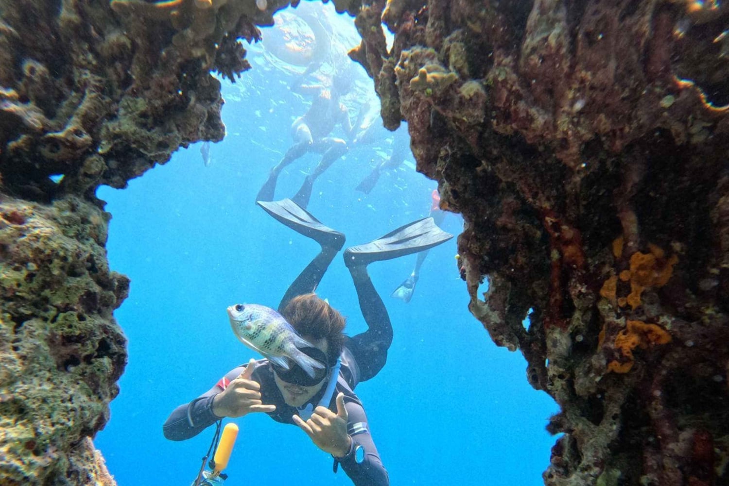 Pemuteran Bali: Menjangan Island Snorkeling Trip with Lunch