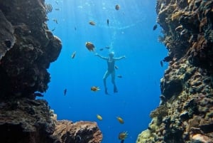 Pemuteran Bali: Menjangan Island Snorkeling Trip with Lunch