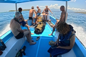 Pemuteran Bali: Menjangan Island Snorkeling Trip with Lunch