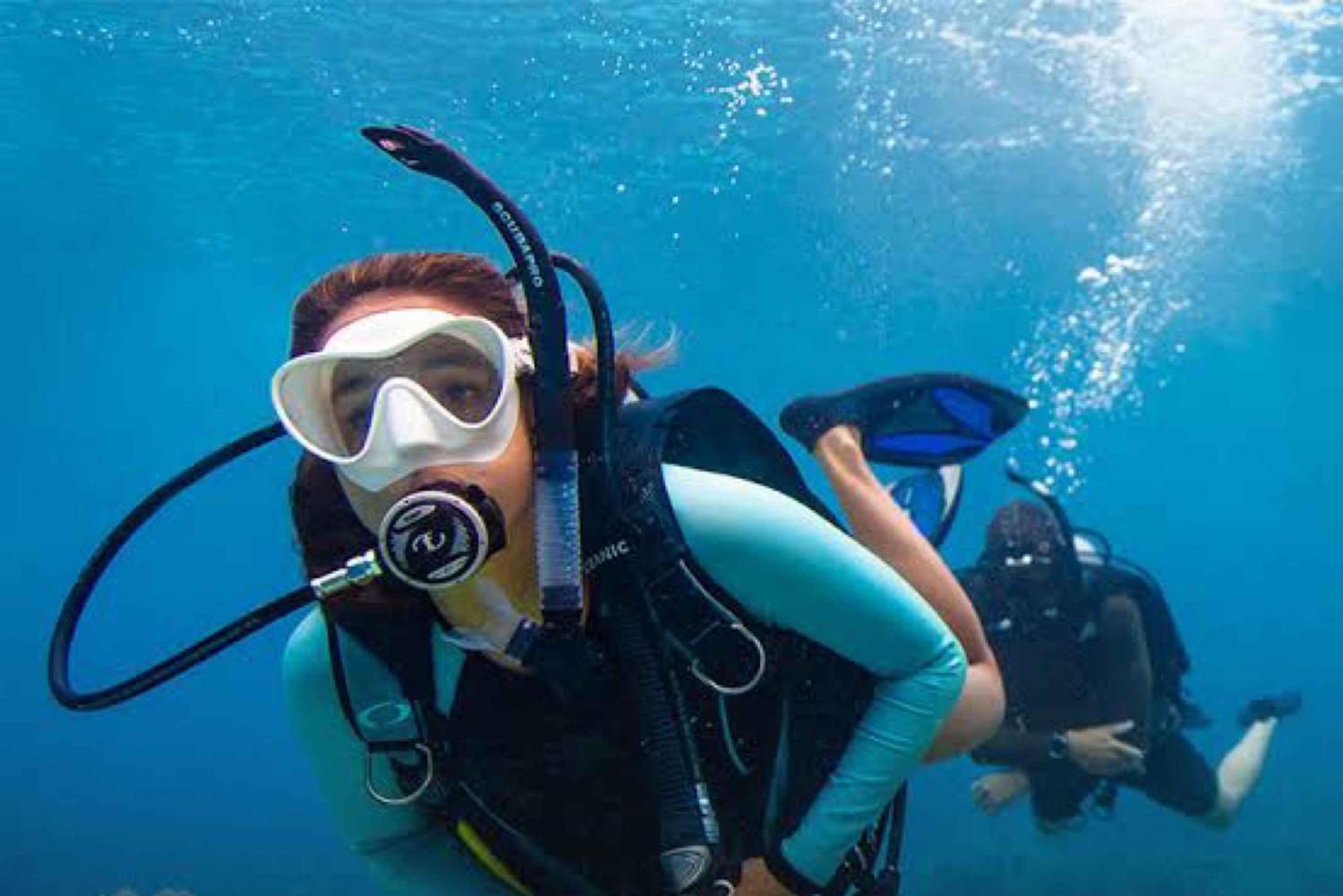 Pemuteran: Biorock Dive Master Internship