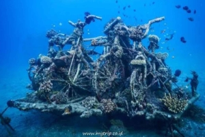 Pemuteran: Biorock Dive Master Internship