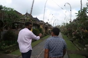 Pengelipuran Village: 'Be a Balinese For a Day' Private Tour