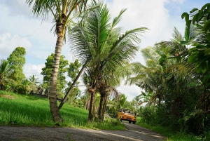 Pesagi: Exploring The Hidden Gems Of West Bali With VW Thing