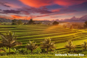 Private Bedugul Bali Tour UNESCO Sites Inc Meals & Ticket