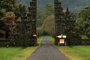 Bali Private Car Charter with English Speaking Driver