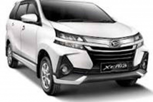 Private Car or Minibus Rental With Driver