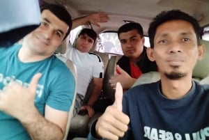 Private Car or Minibus Rental With Driver