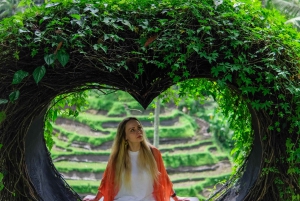Private day tour in ubud all included