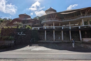 excursão privada de um dia: jatiluwih, cerimônia de purificação, cachoeiras