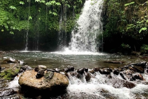 excursão privada de um dia: jatiluwih, cerimônia de purificação, cachoeiras