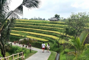 excursão privada de um dia: jatiluwih, cerimônia de purificação, cachoeiras