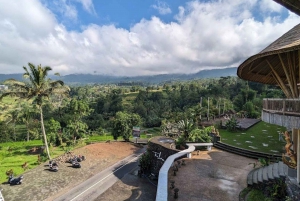 excursão privada de um dia: jatiluwih, cerimônia de purificação, cachoeiras