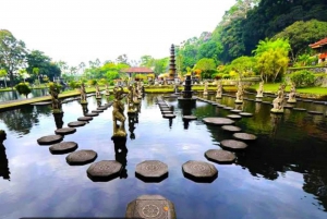 Private Lempuyang Insagram Tour and Swing &Goa Raja Waterfal