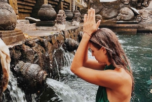 Visita al Bosque de los Monos, Templo, Terraza de Arroz y Cascada de Ubud